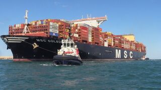 El transporte marítimo es la mayor entrada de artículos falsificados