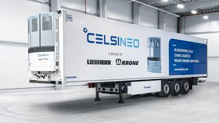 Celsineo calcula que entregará más de 500 unidades este año