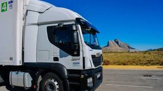Bruselas publica la reforma que facilita el uso de camiones de alquiler