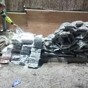 Hallados 262 kilos de droga en un camión que transportaba caballos